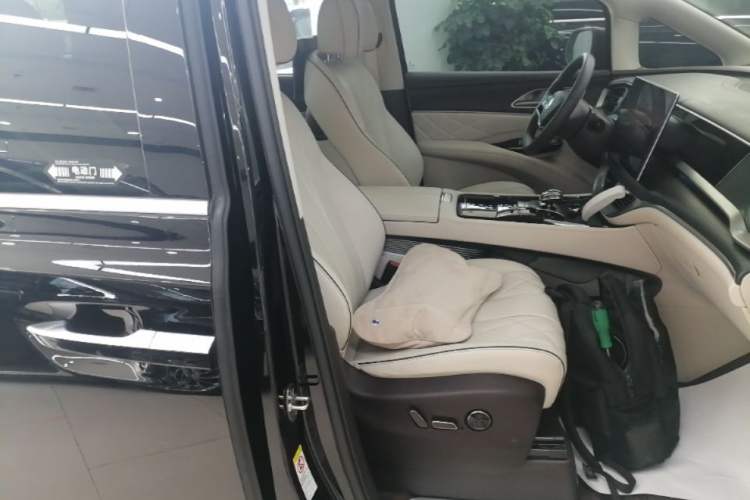 Used Denza D9 2024 DM-i 980 Four-Wheel Drive Prestige Model Right Front Seat