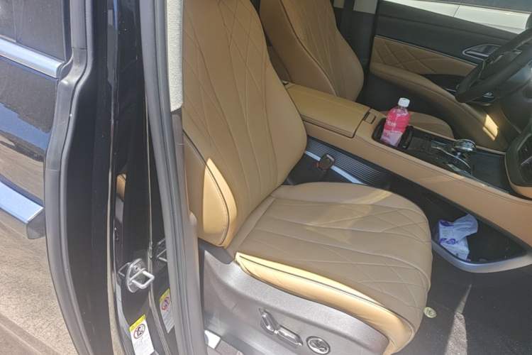 Used Denza D9 2024 EV 600 Four-Wheel-Drive Flagship Model Right Front Seat