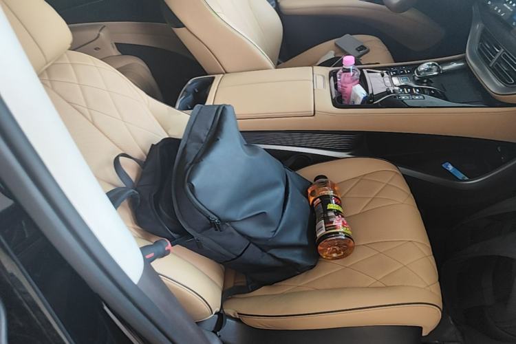 Used Denza D9 2024 DM-i 1050 Luxury Model Right Front Seat