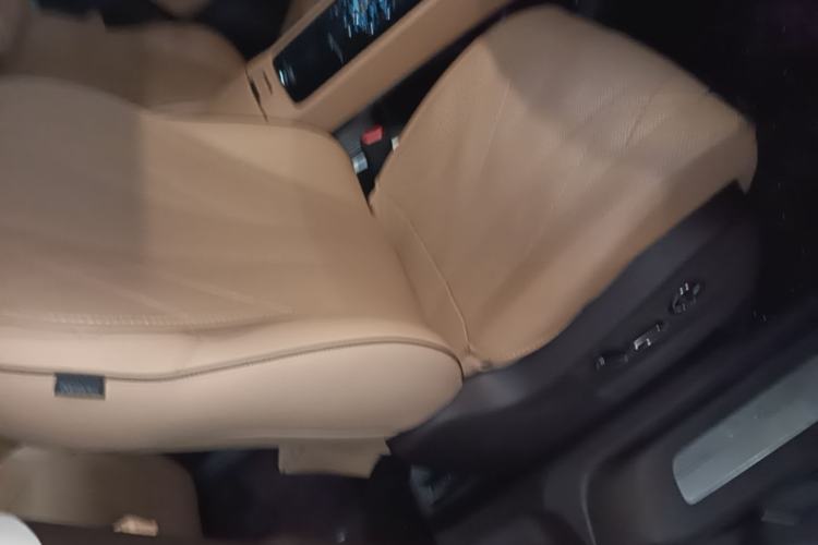 Used Denza D9 2024 DM-i 980 Four-Wheel Drive Prestige Model Right Front Seat