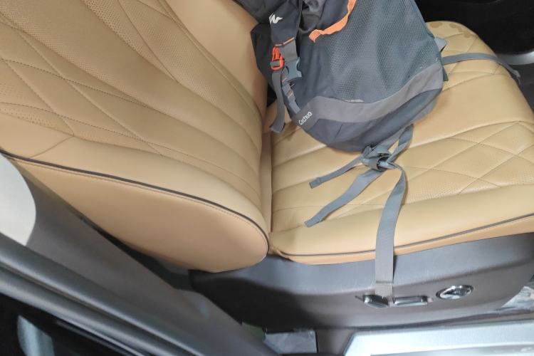 Used Denza D9 2024 DM-i 980 Four-Wheel Drive Prestige Model Right Front Seat