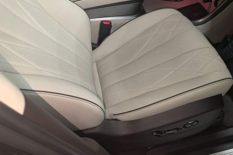 Used Denza D9 2024 DM-i 1050 Luxury Model Right Front Seat