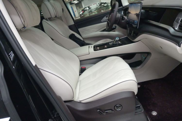 Used Denza D9 2024 DM-i 980 Four-Wheel Drive Prestige Model Right Front Seat