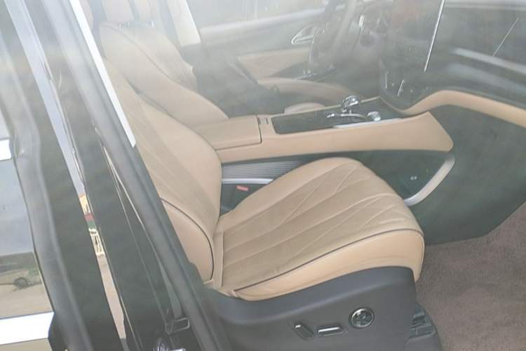 Used Denza D9 2024 DM-i 980 Four-Wheel Drive Flagship Model Right Front Seat
