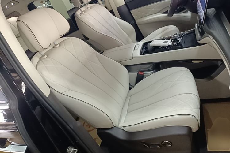 Used Denza D9 2024 DM-i 980 Four-Wheel Drive Flagship Model Right Front Seat