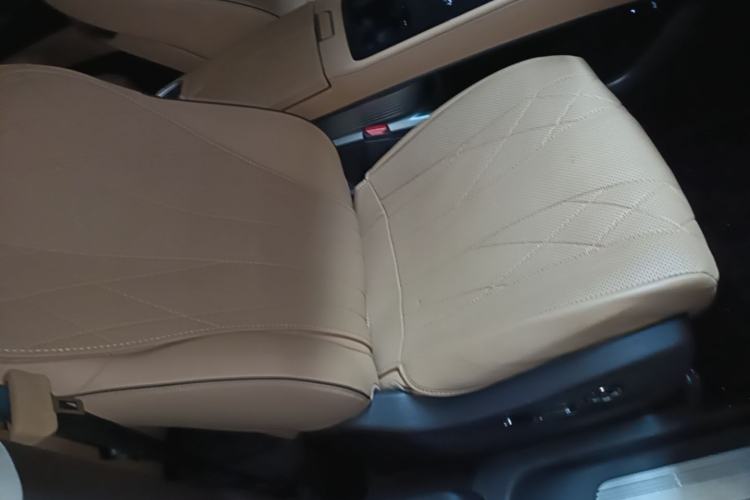 Used Denza D9 2024 DM-i 980 Four-Wheel Drive Prestige Model Right Front Seat