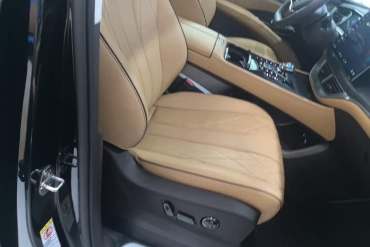 Used Denza D9 2024 DM-i 980 Four-Wheel Drive Prestige Model Right Front Seat