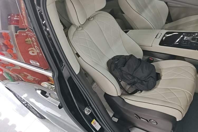 Used Denza D9 2024 DM-i 980 Four-Wheel Drive Prestige Model Right Front Seat