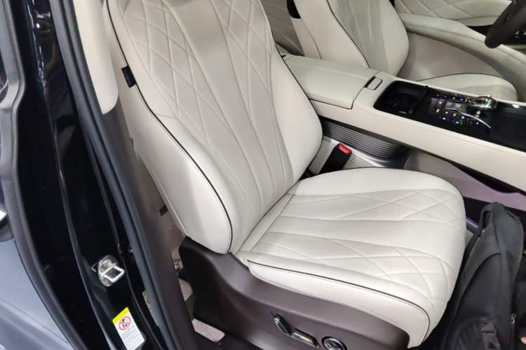 Used Denza D9 2024 DM-i 1050 Luxury Model Right Front Seat