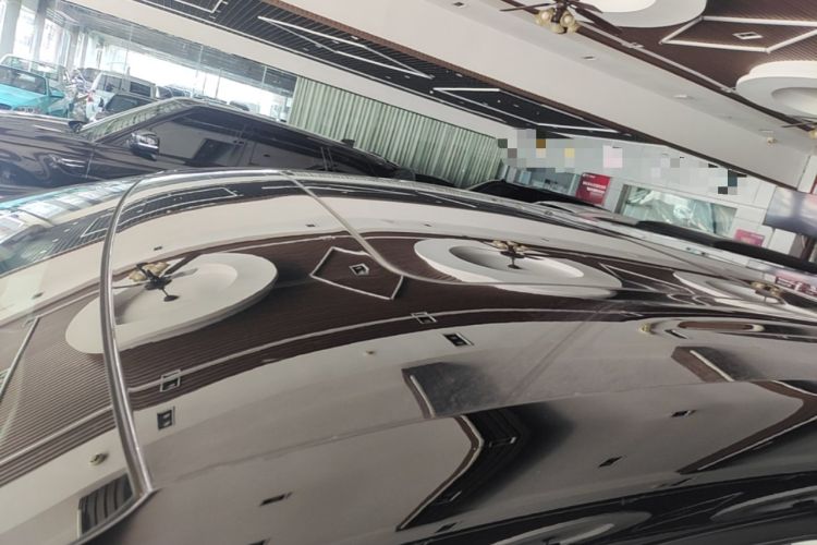 Used Denza D9 2024 DM-i 1050 Luxury Model Roof