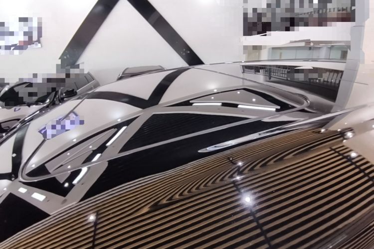 Used Denza D9 2024 DM-i 970 Luxury Model Roof