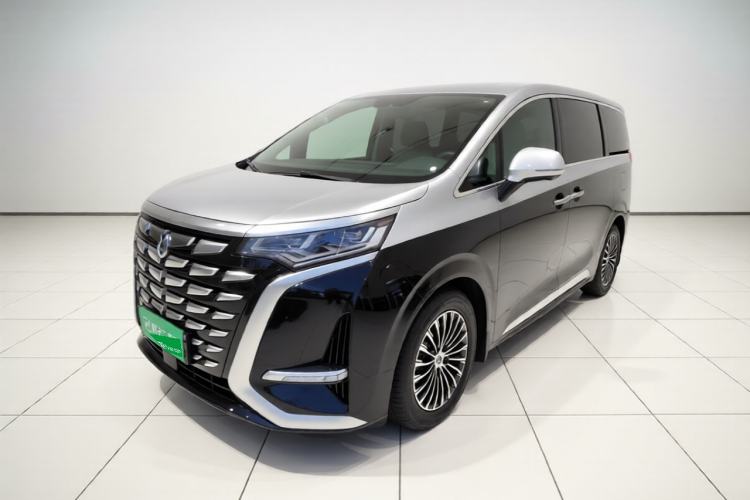 Denza D9 2024 DM-i 970 Luxury Model