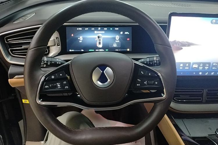 Used Denza D9 2024 DM-i 980 Four-Wheel Drive Prestige Model Steering Wheel