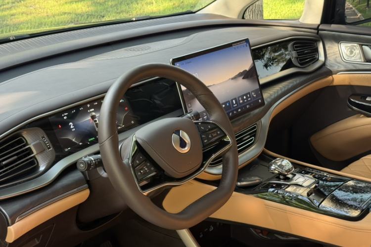 Used Denza D9 2024 DM-i 980 Four-Wheel Drive Prestige Model Steering Wheel