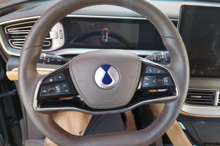 Used Denza D9 2024 DM-i 980 Four-Wheel Drive Prestige Model Steering Wheel