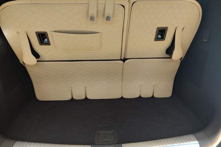 Used Denza D9 2024 DM-i 1050 Luxury Model Trunk