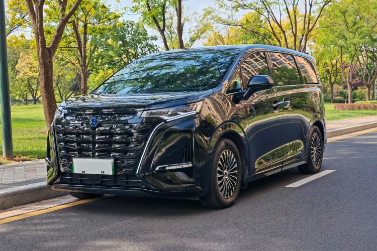 Denza D9 2024 DM-i 980 Four-Wheel Drive Prestige Model - Premium