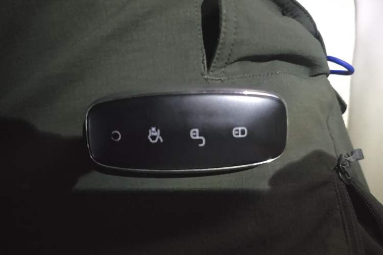 Used Denza D9 2024 DM-i 980 Four-Wheel Drive Prestige Model Vehicle Key