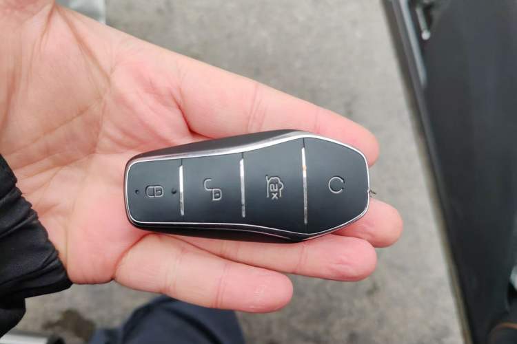 Used Denza D9 2024 DM-i 980 Four-Wheel Drive Prestige Model Vehicle Key