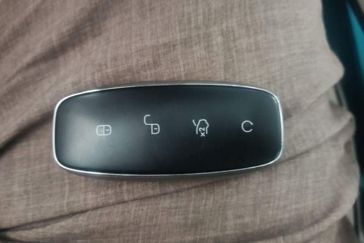 Used Denza D9 2024 DM-i 980 Four-Wheel Drive Prestige Model Vehicle Key