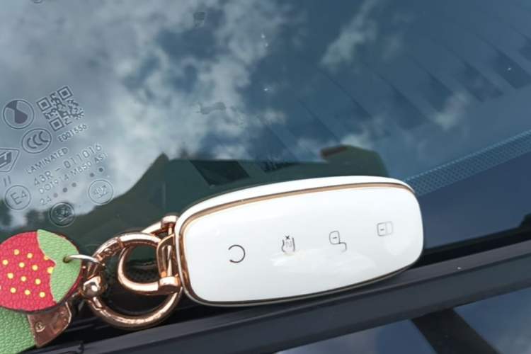 Used Denza D9 2024 DM-i 1050 Luxury Model Vehicle Key