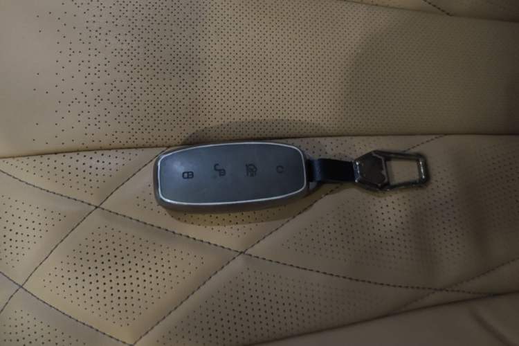 Used Denza D9 2024 EV 620 Premium Model Vehicle Key