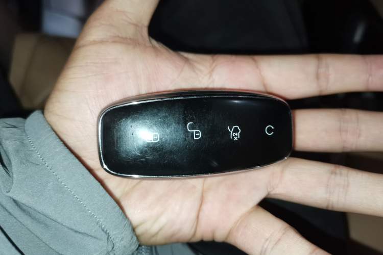 Used Denza D9 2024 DM-i 980 Four-Wheel Drive Prestige Model Vehicle Key