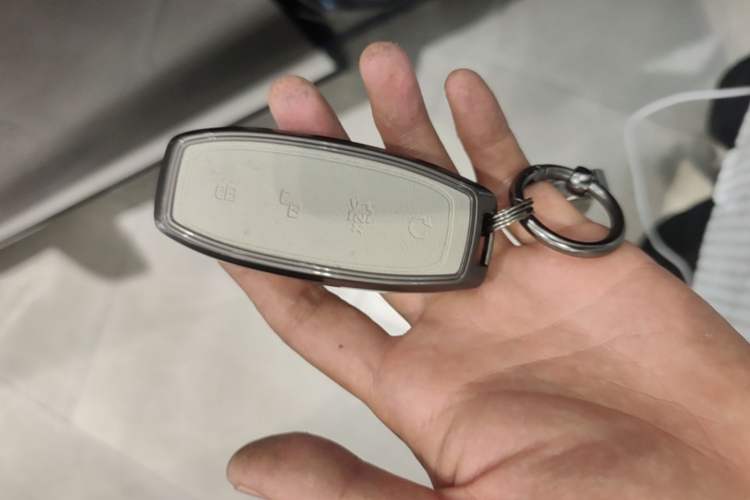 Used Denza D9 2024 DM-i 980 Four-Wheel Drive Prestige Model Vehicle Key