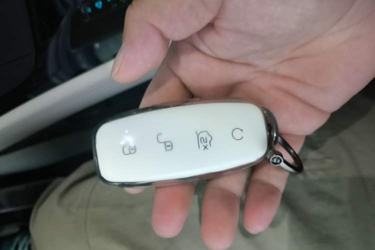 Used Denza D9 2024 DM-i 980 Four-Wheel Drive Prestige Model Vehicle Key