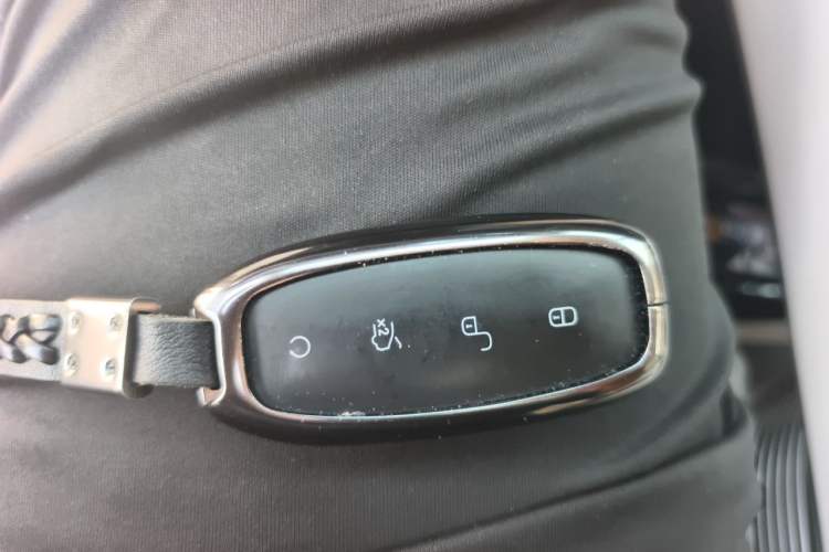 Used Denza D9 2024 DM-i 980 Four-Wheel Drive Prestige Model Vehicle Key