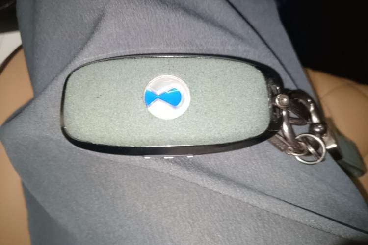 Used Denza D9 2024 DM-i 980 Four-Wheel Drive Prestige Model Vehicle Key