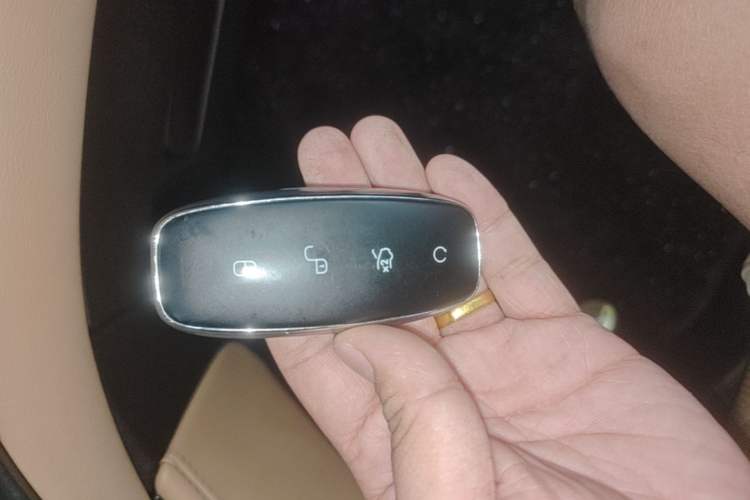 Used Denza D9 2024 EV 600 Four-Wheel-Drive Flagship Model Vehicle Key