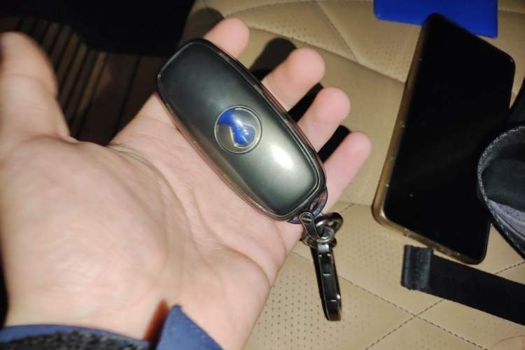 Used Denza D9 2024 DM-i 1050 Luxury Model Vehicle Key