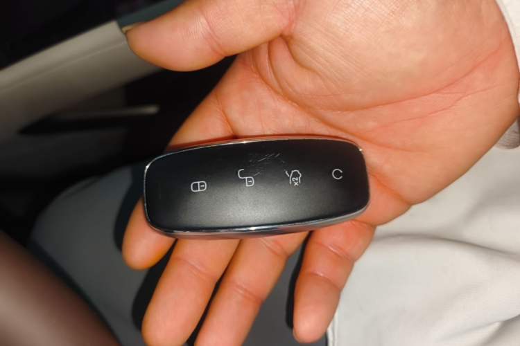 Used Denza D9 2024 DM-i 980 Four-Wheel Drive Flagship Model Vehicle Key