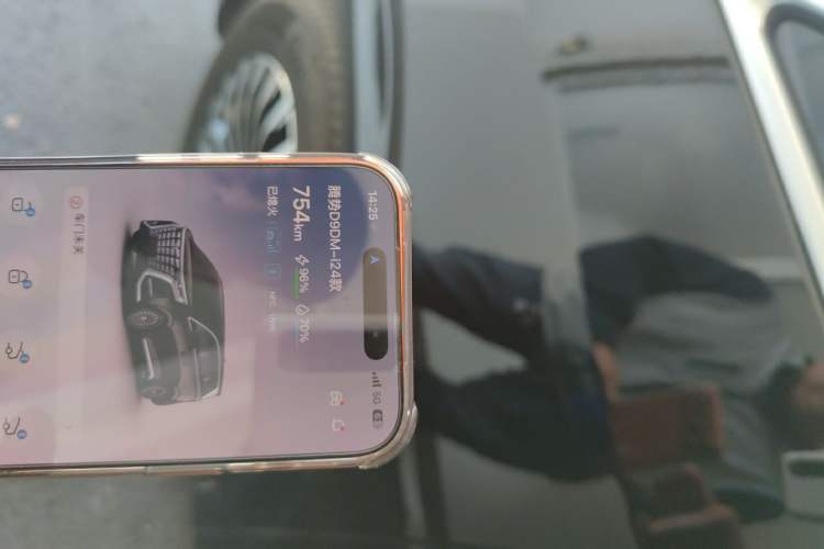 Used Denza D9 2024 DM-i 980 Four-Wheel Drive Prestige Model Vehicle Key