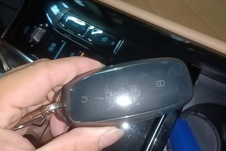Used Denza D9 2024 DM-i 980 Four-Wheel Drive Prestige Model Vehicle Key