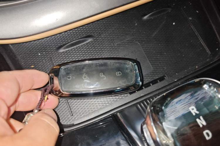 Used Denza D9 2024 DM-i 980 Four-Wheel Drive Flagship Model Vehicle Key
