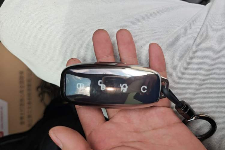 Used Denza D9 2024 DM-i 980 Four-Wheel Drive Prestige Model Vehicle Key