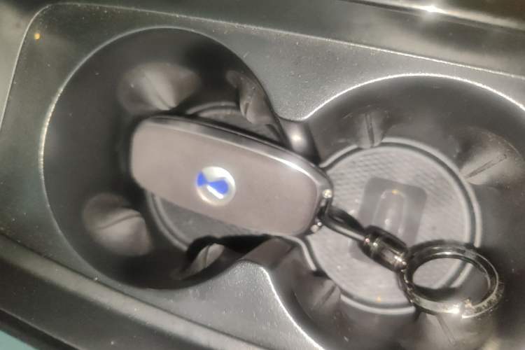 Used Denza D9 2024 DM-i 1050 Luxury Model Vehicle Key