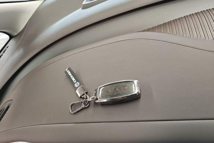 Used Denza D9 2024 DM-i 980 Four-Wheel Drive Prestige Model Vehicle Key