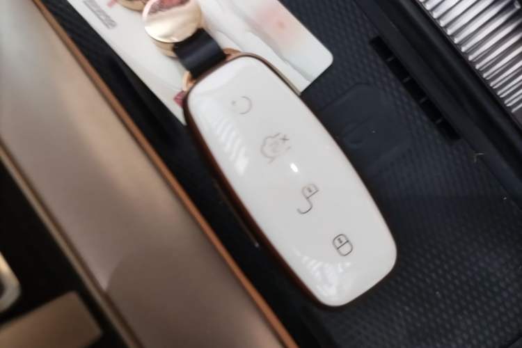 Used Denza D9 2024 DM-i 1050 Luxury Model Vehicle Key