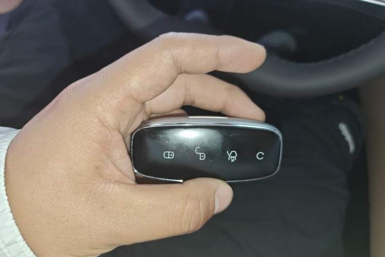 Used Denza D9 2024 DM-i 980 Four-Wheel Drive Prestige Model Vehicle Key