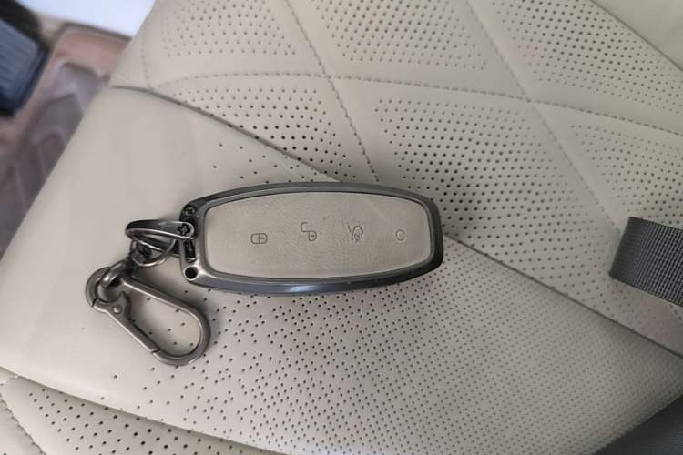 Used Denza D9 2024 DM-i 980 Four-Wheel Drive Flagship Model Vehicle Key