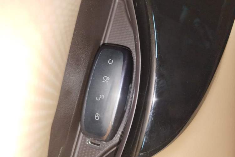 Used Denza D9 2024 DM-i 980 Four-Wheel Drive Flagship Model Vehicle Key