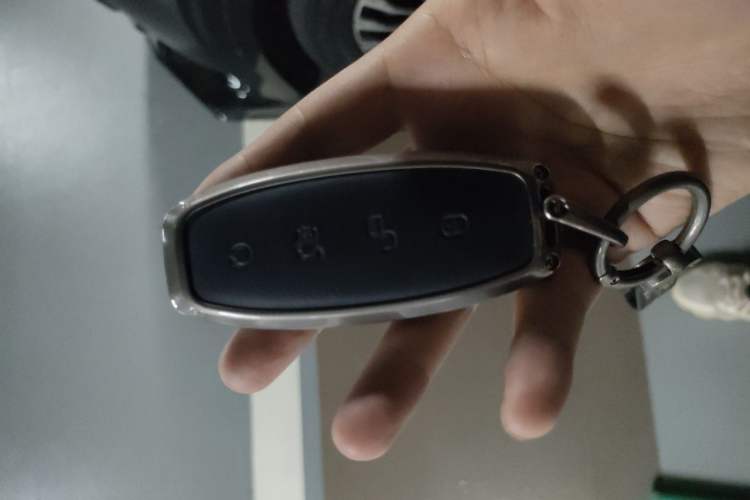 Used Denza D9 2024 DM-i 980 Four-Wheel Drive Prestige Model Vehicle Key