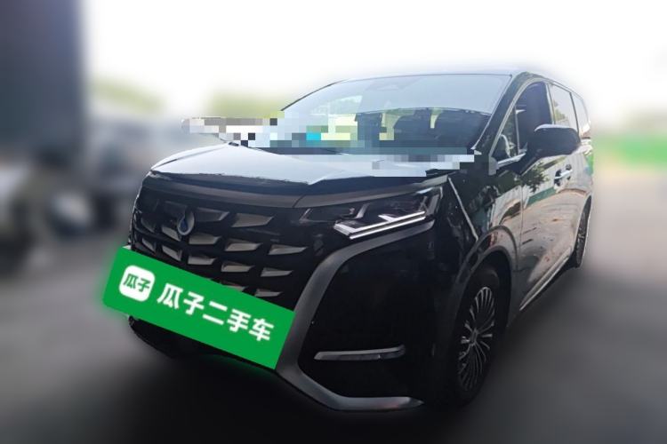 Denza D9 2024 DM-i 970 Luxury Model