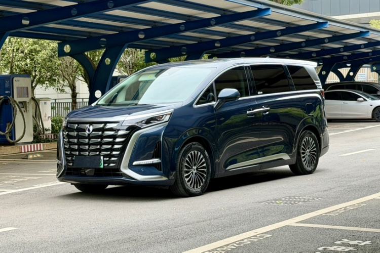 Denza D9 2024 DM-i 1050 Luxury Model