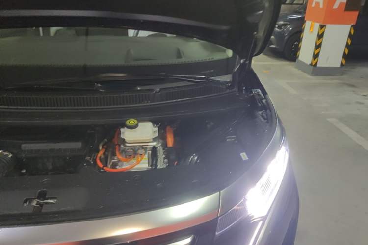 Used Denza D9 2024 DM-i 980 Four-Wheel Drive Prestige Model Engine Bay Left