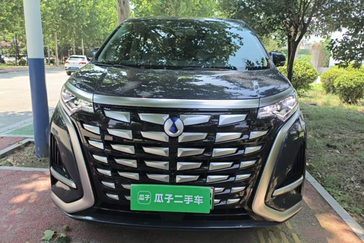 Used Denza D9 2024 DM-i 1050 Luxury Model Front