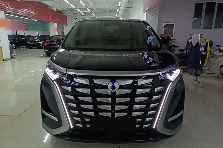 Used Denza D9 2024 DM-i 980 Four-Wheel Drive Prestige Model Front